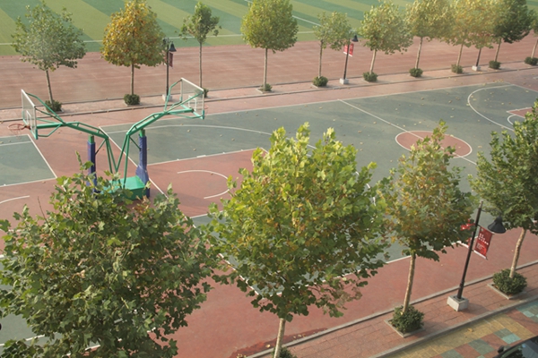 唐山市灤南縣英才紅軍學校