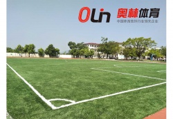 廣東省惠州市博羅楊僑中心小學(xué)運(yùn)動場_戶外運(yùn)動地面案例_廣東