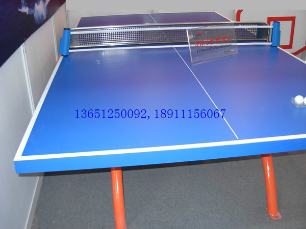 老國標(biāo)室外乒乓球臺對面