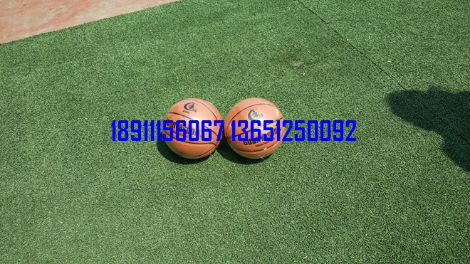 籃球，小籃球，少年籃球