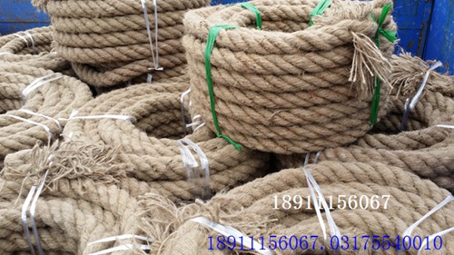 DF01拔河繩實景一