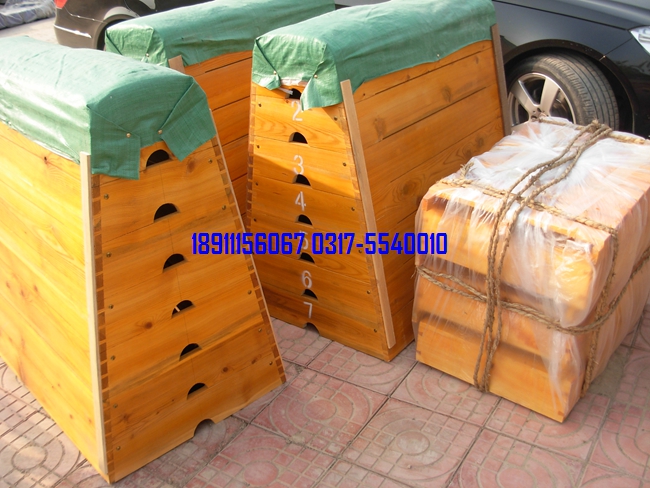 五節、七節跳箱