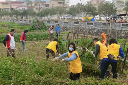 南區街道：親子家庭開展志愿服務，感受傳統農耕文化魅力