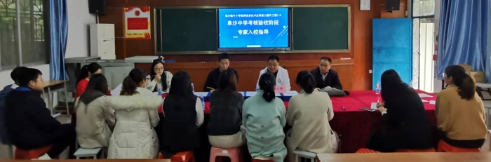 專家解惑，校本研修