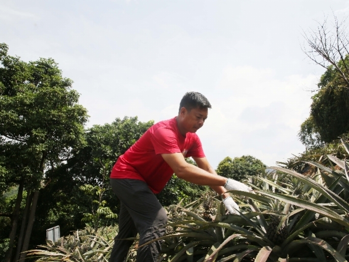 神灣鎮農民豐收節文體旅游活動月將于9月19日啟動