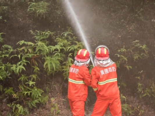 及時防控山林火災“險情”，黃圃鎮開展森林火災應急處置演練