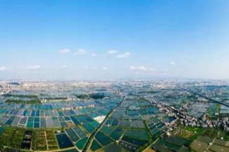 掛牌啦！阜沙鎮這些村獲省級榮譽