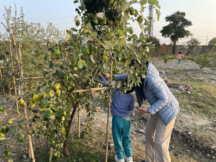 體驗(yàn)勞動(dòng)之美，品味豐收之樂