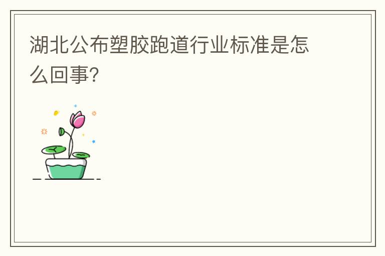湖北公布塑膠跑道行業(yè)標準是怎么回事？