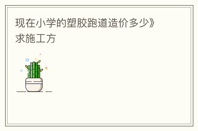 現在小學的塑膠跑道造價多少》求施工方