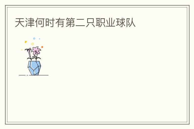 天津何時有第二只職業球隊