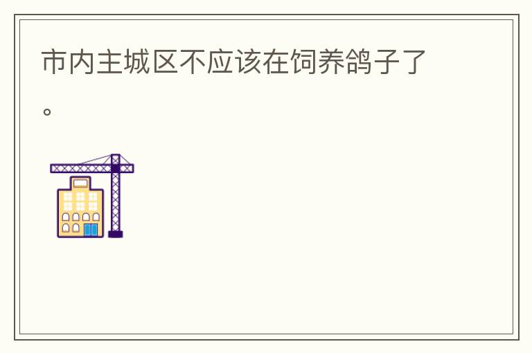 市內(nèi)主城區(qū)不應(yīng)該在飼養(yǎng)鴿子了。