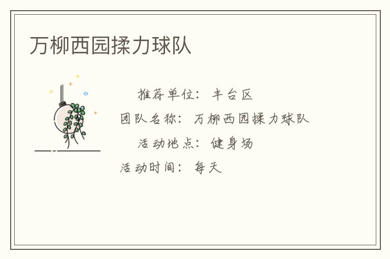 萬柳西園揉力球隊(duì)
