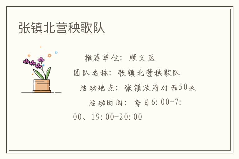 張鎮北營秧歌隊