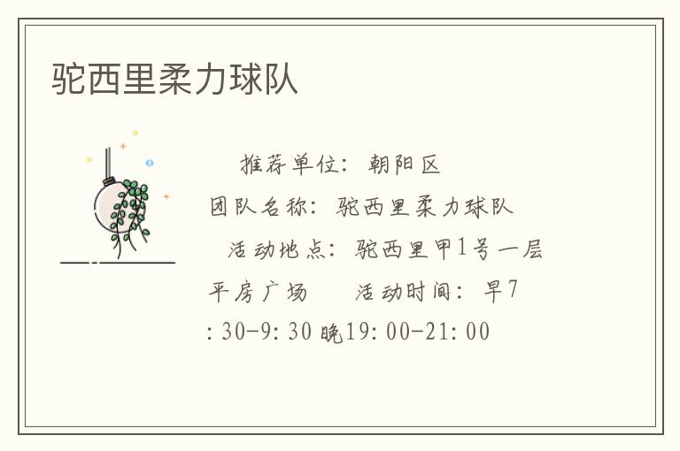 駝西里柔力球隊