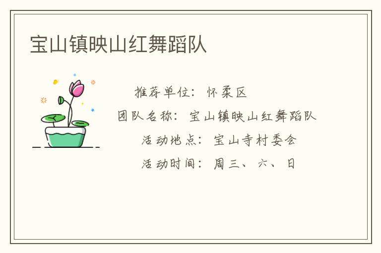 寶山鎮映山紅舞蹈隊