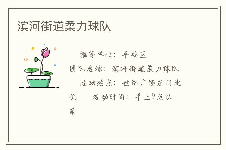 濱河街道柔力球隊