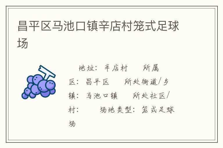 昌平區馬池口鎮辛店村籠式足球場