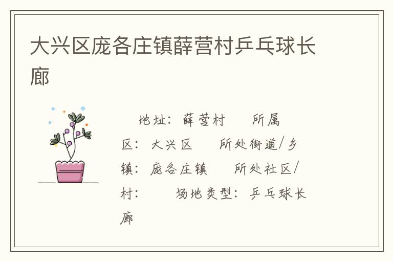 大興區龐各莊鎮薛營村乒乓球長廊