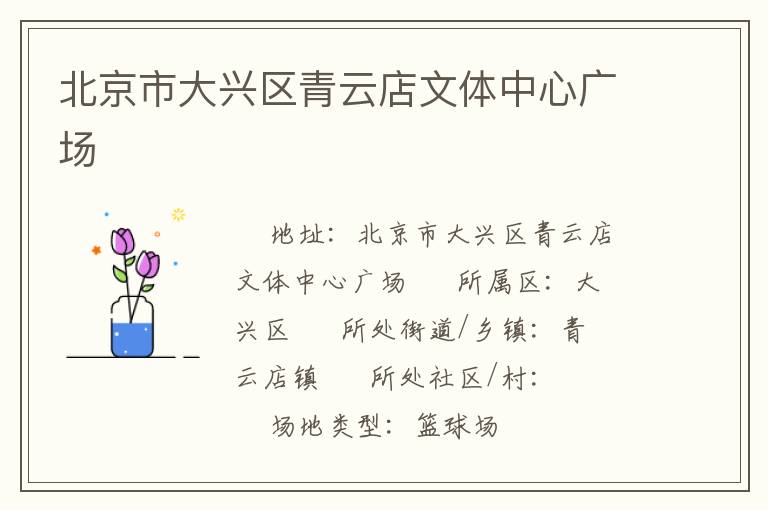 北京市大興區(qū)青云店文體中心廣場