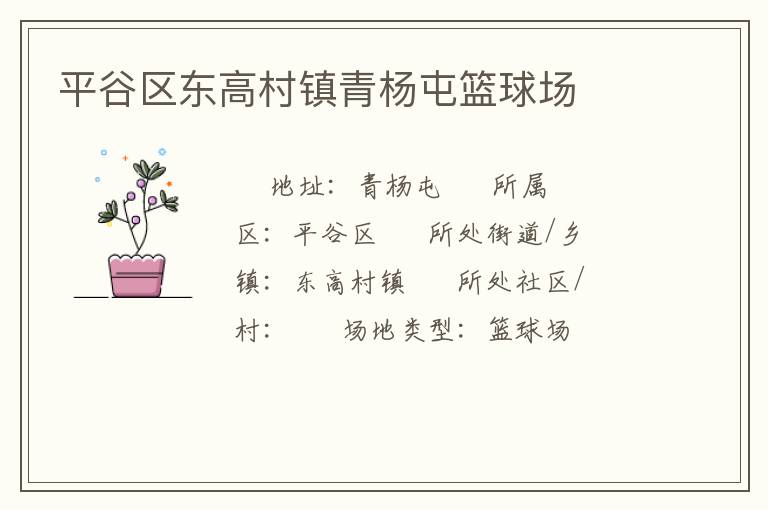 平谷區東高村鎮青楊屯籃球場