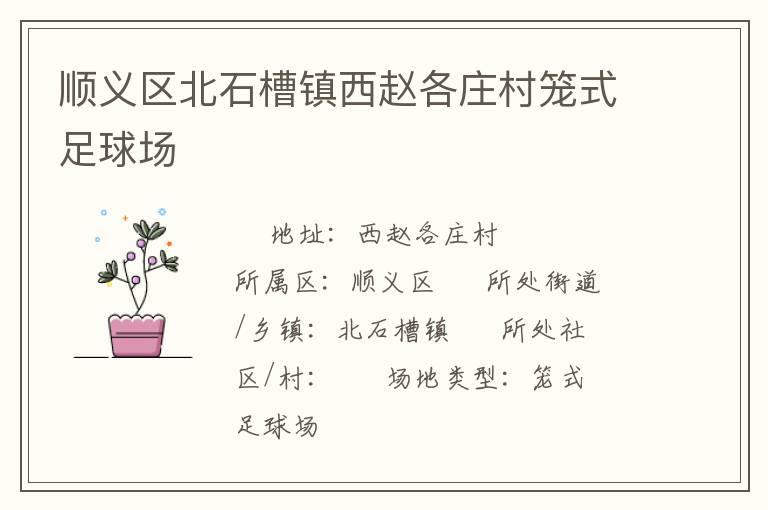 順義區北石槽鎮西趙各莊村籠式足球場