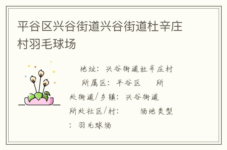 平谷區(qū)興谷街道興谷街道杜辛莊村羽毛球場