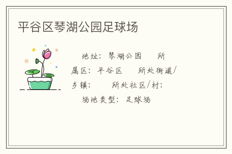 平谷區琴湖公園足球場