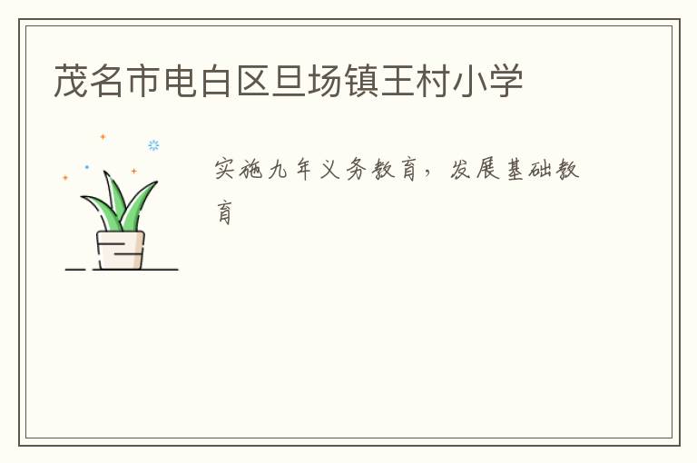 茂名市電白區旦場鎮王村小學