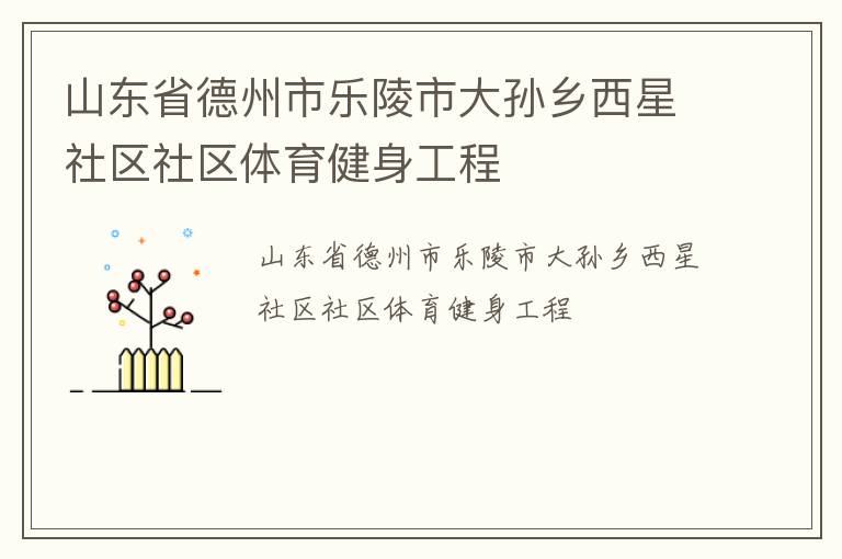 山東省德州市樂陵市大孫鄉西星社區社區體育健身工程