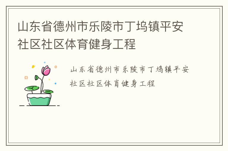 山東省德州市樂陵市丁塢鎮平安社區社區體育健身工程