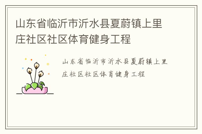 山東省臨沂市沂水縣夏蔚鎮上里莊社區社區體育健身工程