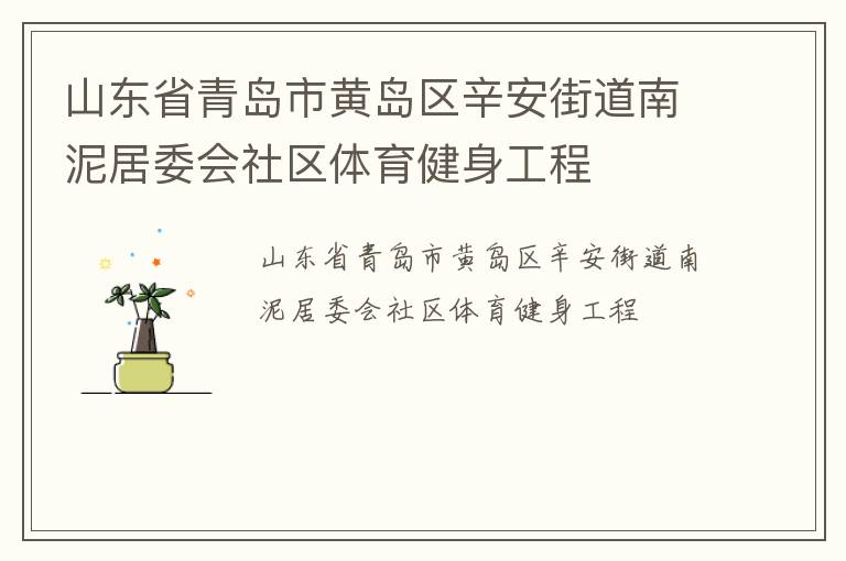 山東省青島市黃島區辛安街道南泥居委會社區體育健身工程