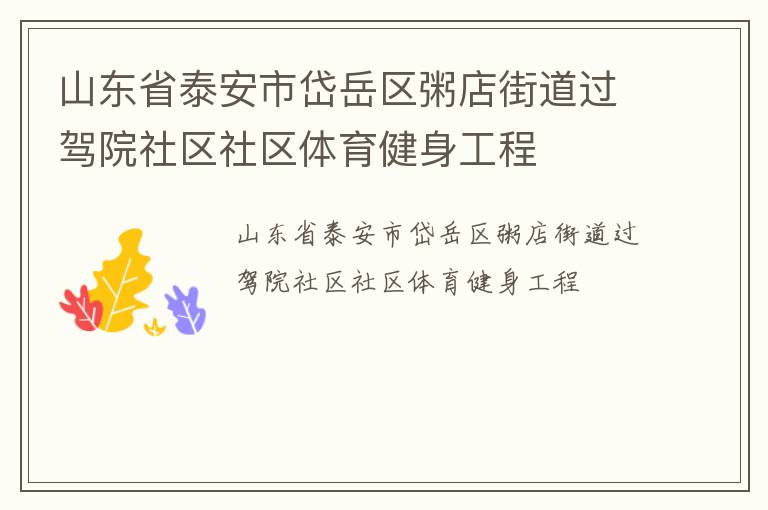 山東省泰安市岱岳區(qū)粥店街道過(guò)駕院社區(qū)社區(qū)體育健身工程