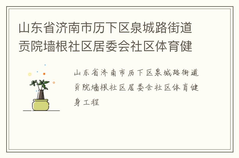 山東省濟南市歷下區泉城路街道貢院墻根社區居委會社區體育健身工程