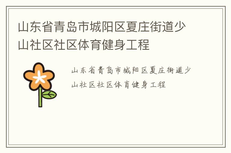 山東省青島市城陽區夏莊街道少山社區社區體育健身工程