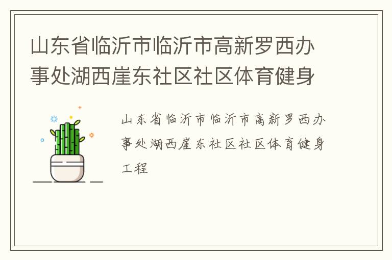 山東省臨沂市臨沂市高新羅西辦事處湖西崖東社區社區體育健身工程