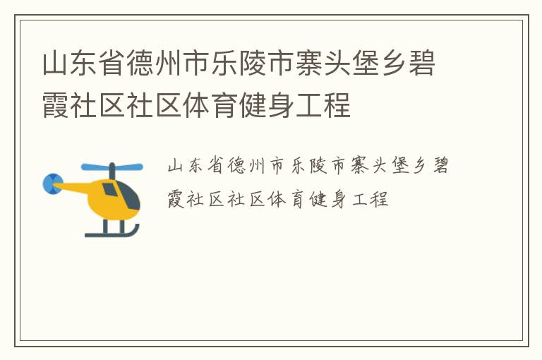 山東省德州市樂陵市寨頭堡鄉碧霞社區社區體育健身工程