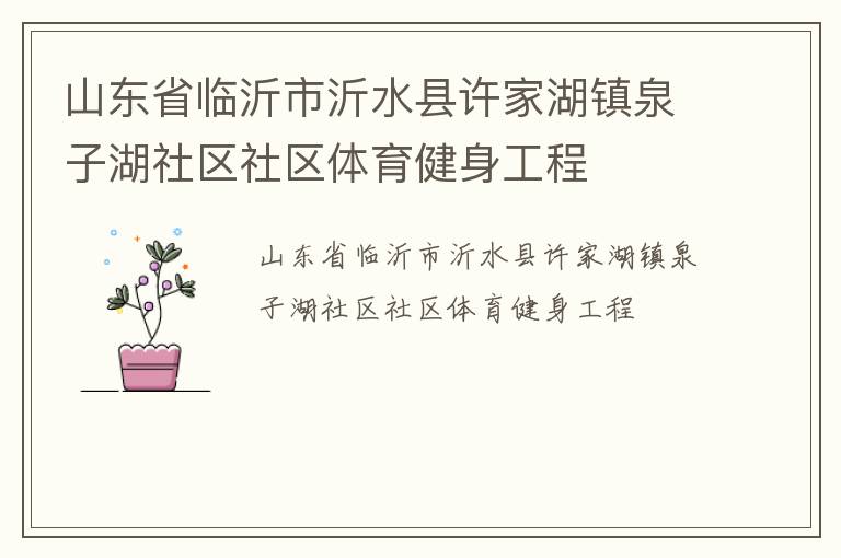 山東省臨沂市沂水縣許家湖鎮泉子湖社區社區體育健身工程