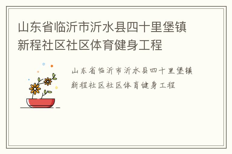 山東省臨沂市沂水縣四十里堡鎮新程社區社區體育健身工程