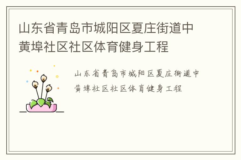 山東省青島市城陽區夏莊街道中黃埠社區社區體育健身工程