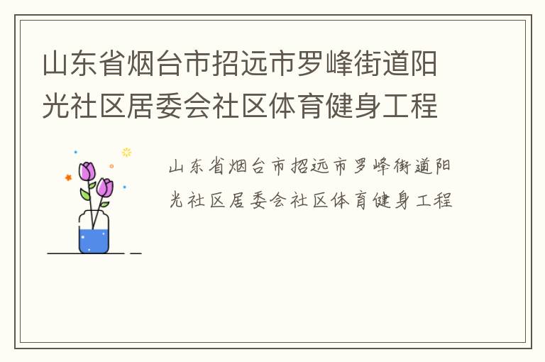 山東省煙臺市招遠市羅峰街道陽光社區居委會社區體育健身工程