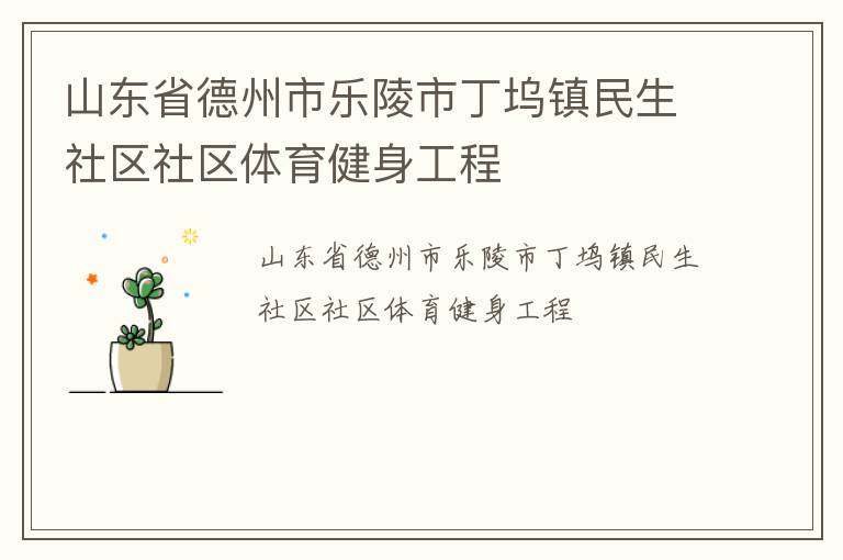 山東省德州市樂陵市丁塢鎮民生社區社區體育健身工程