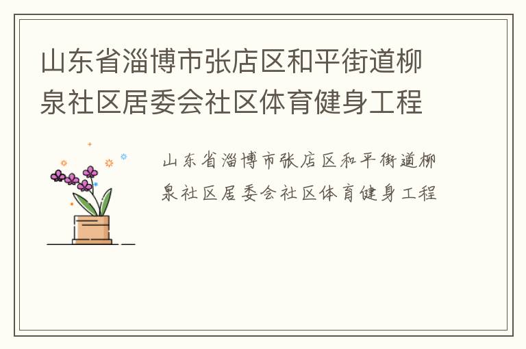 山東省淄博市張店區和平街道柳泉社區居委會社區體育健身工程