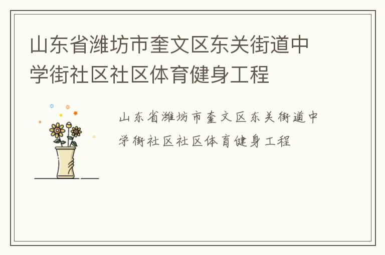 山東省濰坊市奎文區東關街道中學街社區社區體育健身工程