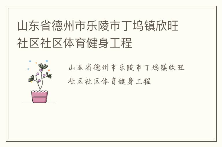 山東省德州市樂陵市丁塢鎮欣旺社區社區體育健身工程