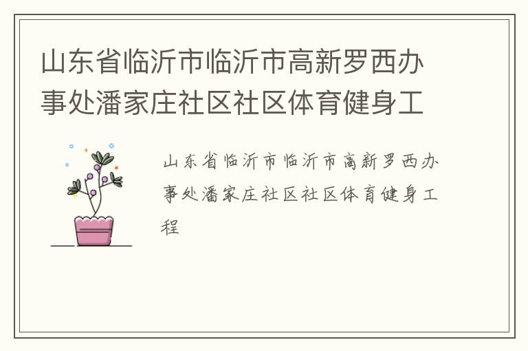 山東省臨沂市臨沂市高新羅西辦事處潘家莊社區社區體育健身工程