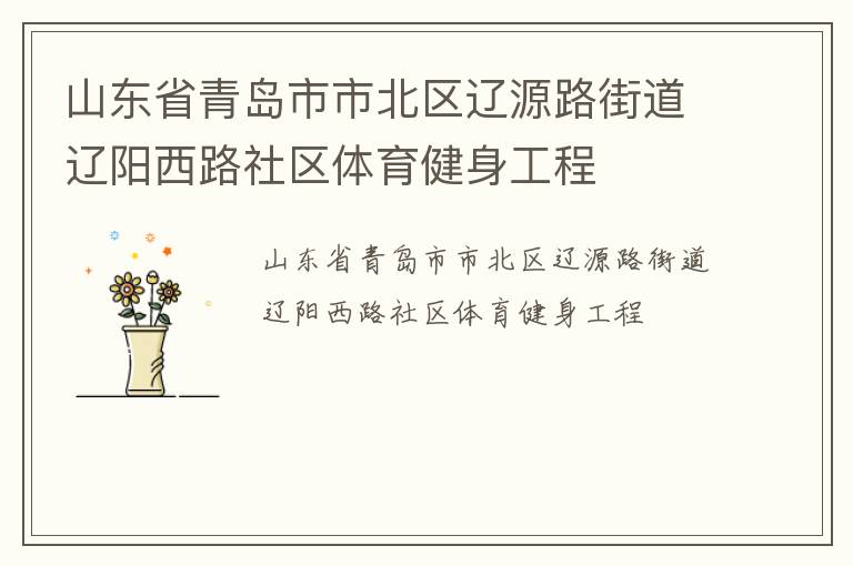 山東省青島市市北區遼源路街道遼陽西路社區體育健身工程