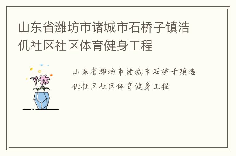 山東省濰坊市諸城市石橋子鎮浩仉社區社區體育健身工程