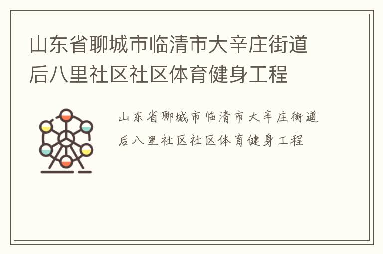 山東省聊城市臨清市大辛莊街道后八里社區社區體育健身工程